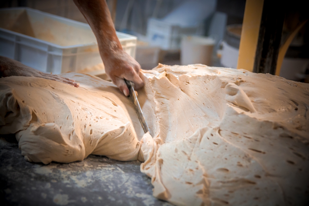 Cómo Pinepan utiliza el código QR para registrar la jornada laboral de los empleados